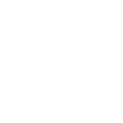 adsight™ Logo